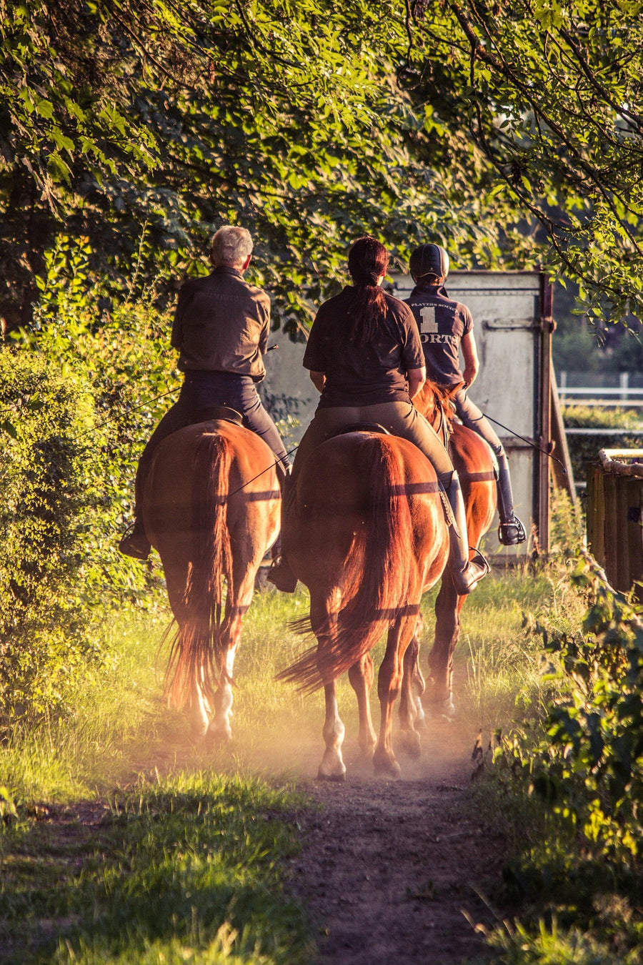 Paseo a Caballo