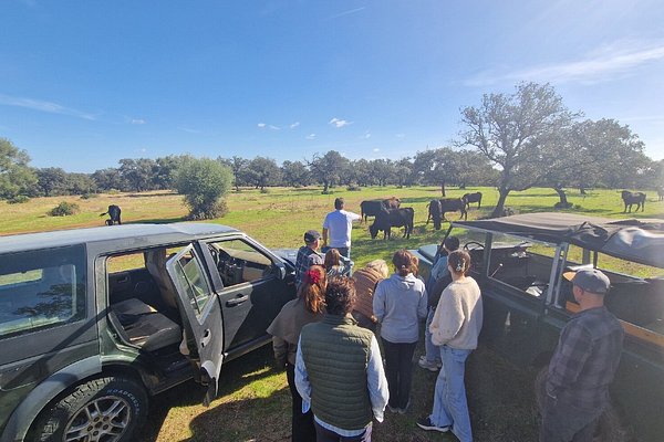 Visita Al Campo Bravo Español